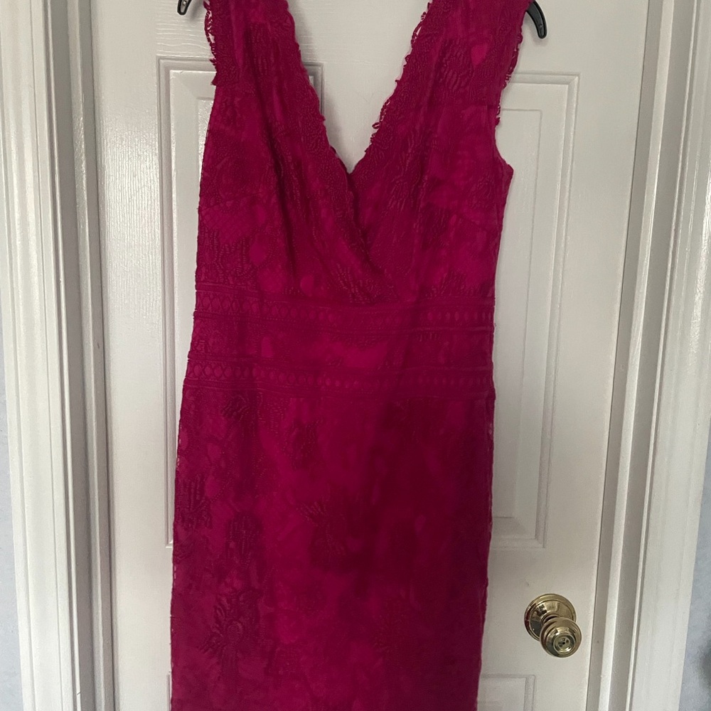 Elegant designer Pink Lace Dress.